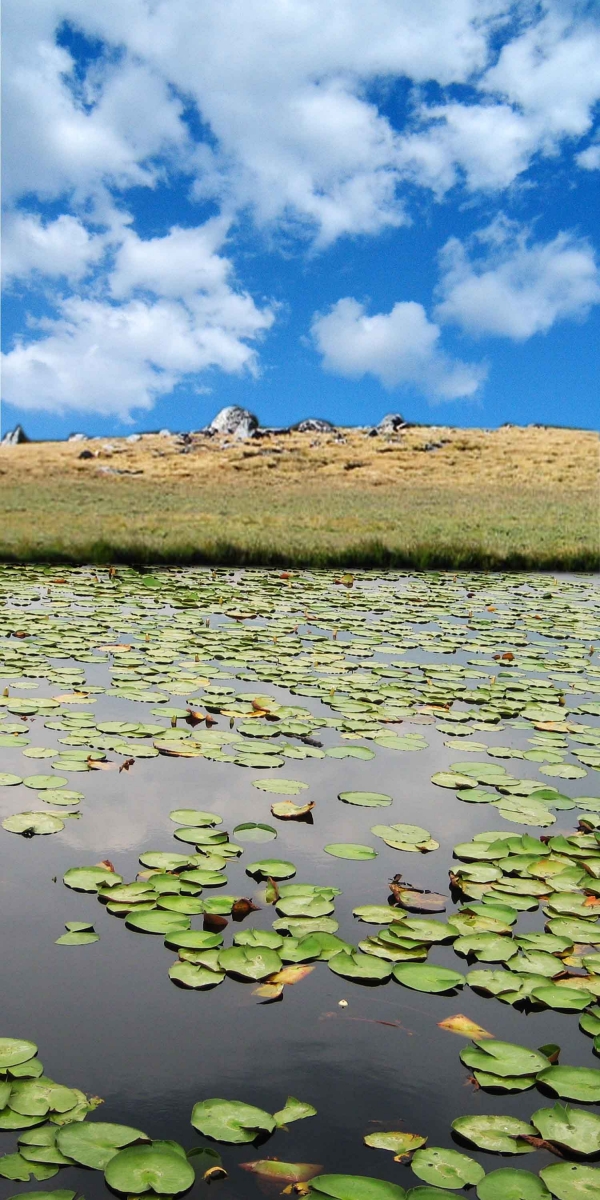 Creation of Lake Goddess: Step 1